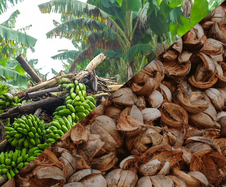 agro waste agro waste