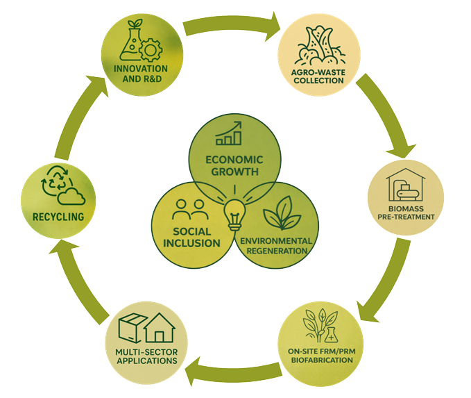 growth model (2) growth model (2)
