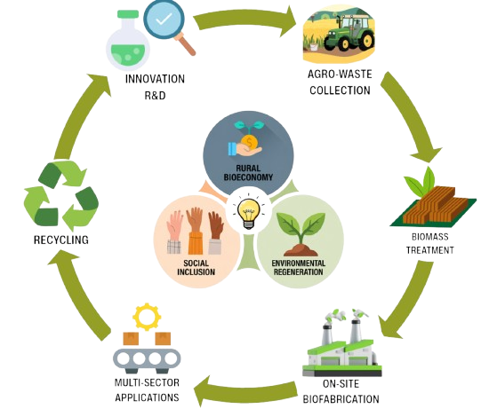 circular growth removebg preview circular growth removebg preview