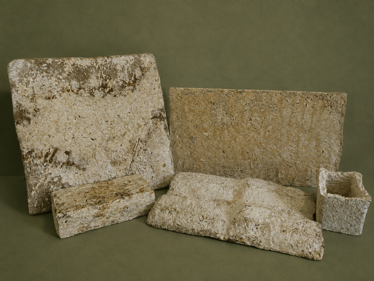 BioCons structural panels